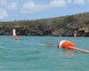 Swim Line and Mooring Barriers from Boatmoorings.com