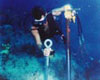 reef pin moorings