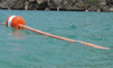 Swim Line