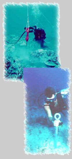 reef pin installation